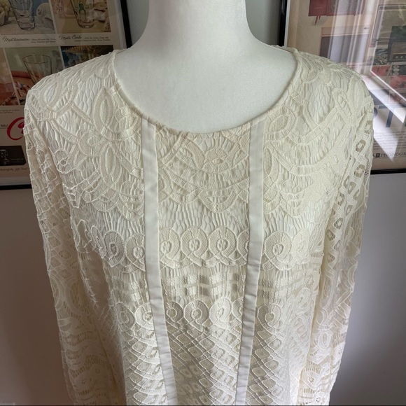 Modcloth Lace & Mesh Dress - Picture 5 of 11